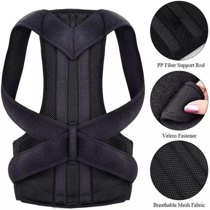 Posture Belt
